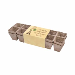 31e3aaca039ac781866e7221e31659e4