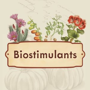 Biostimulants